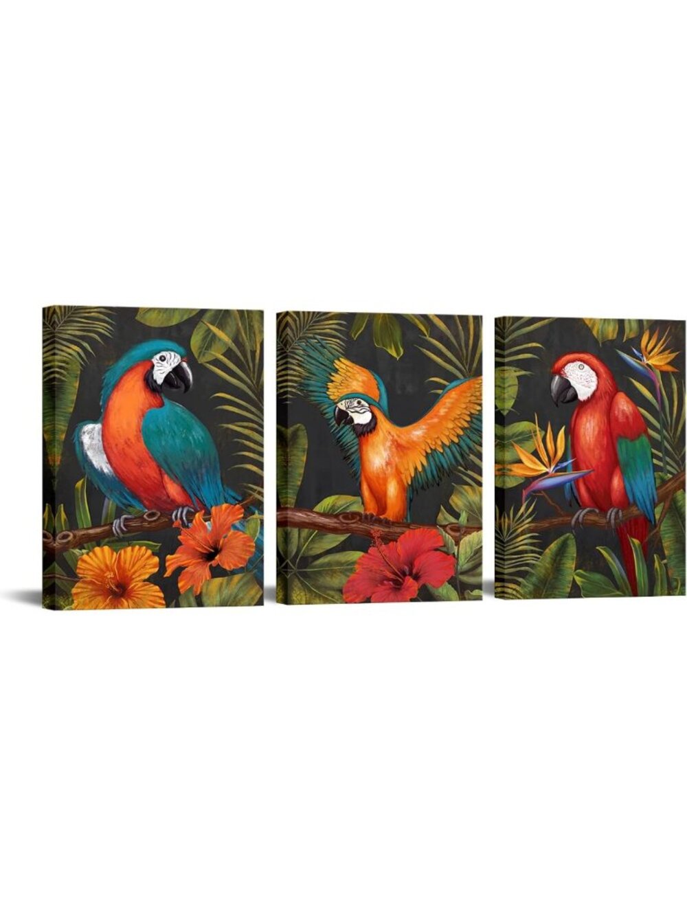 Colorful Parrot Wall Art Set - Tropical Birds Canvas Prints for Home Decor 12x16